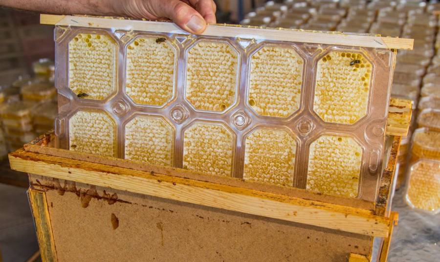 Зимовка пчел: подготовка пасеки, аспекты утепление ульев, способы и особенности