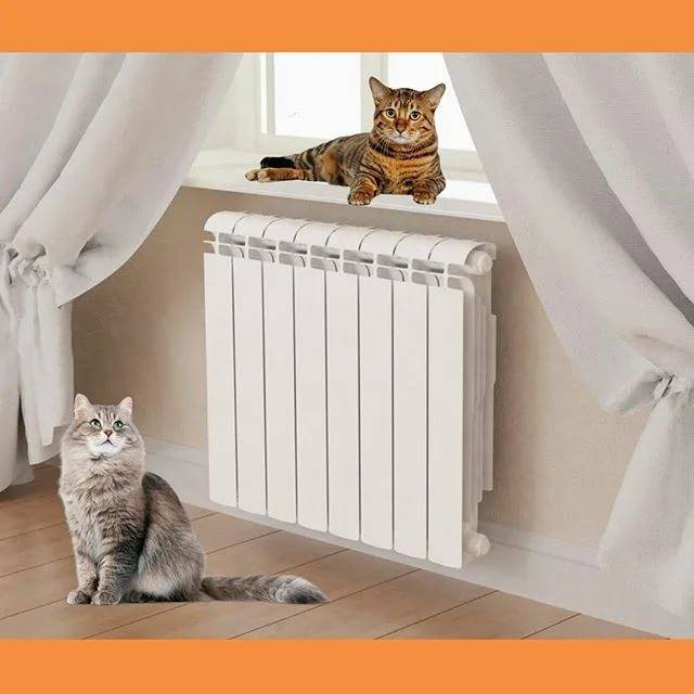 Какие радиаторы отопления лучше ставить в квартире – определим критерии выбора, топ — 17 батарей