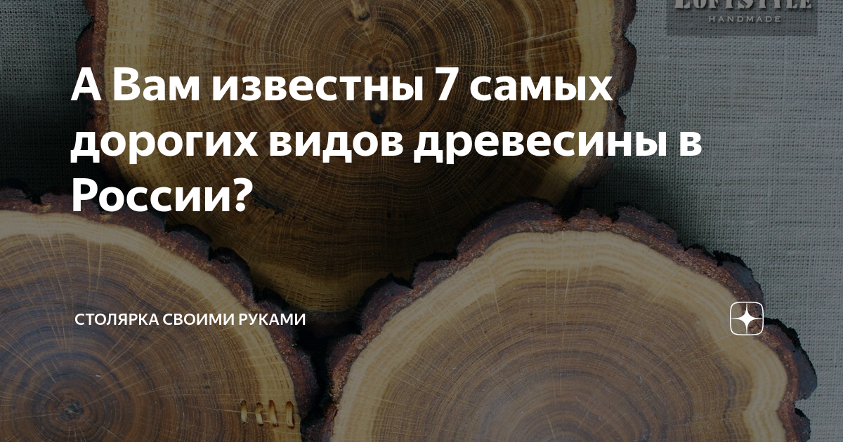 7 самых дорогих видов древесины в России