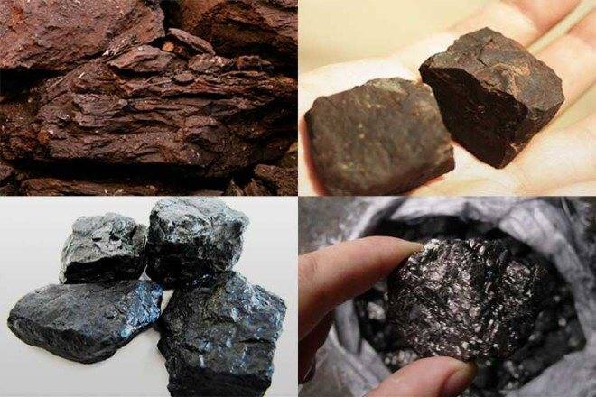 Уголь для отопления дома: как выбрать? характеристики и виды угля
