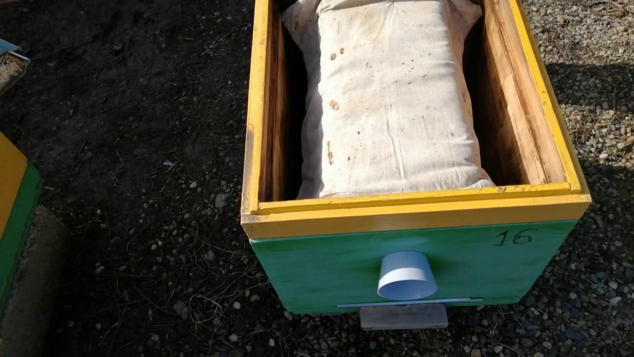 Подготовка пчел к зиме – этапы подготовки и видео