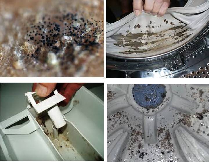 Как очистить от плесени стиральную машину: химические средства и народные методы