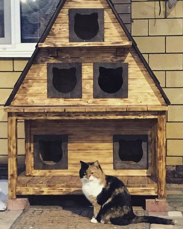Теплый уличный домик для кошки на зиму или как сделать утепленную кошачью будку своими руками