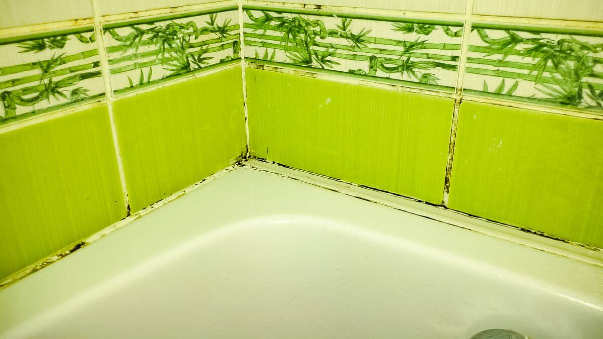 Плесень в ванной, как избавиться в домашних условиях