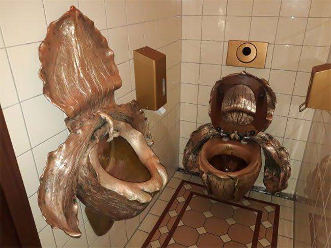 Самые странные и необычные туалеты во всем мире: писсуары прямо в центре города и прозрачные кабинки (фото)