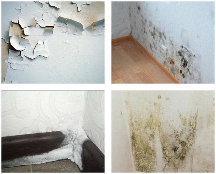 Как утеплить кирпичную стену изнутри, борьба с плесенью в квартире