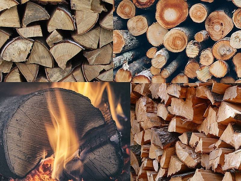 Выбираем дрова для бани: лучшие породы древесины