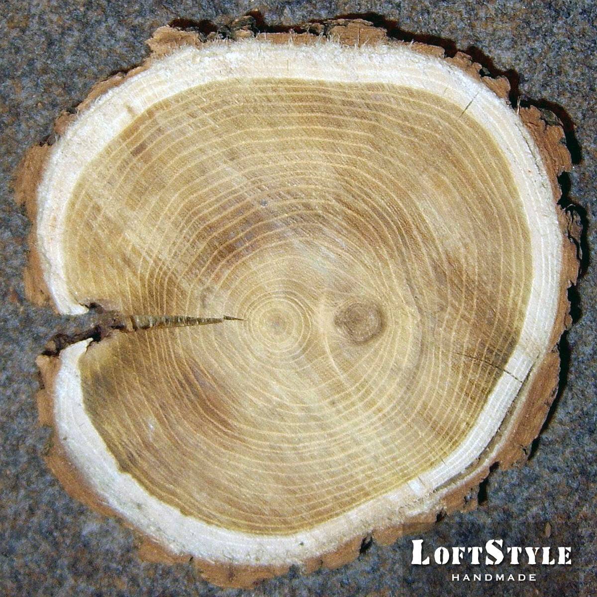 Основные породы древесины | столярный совет