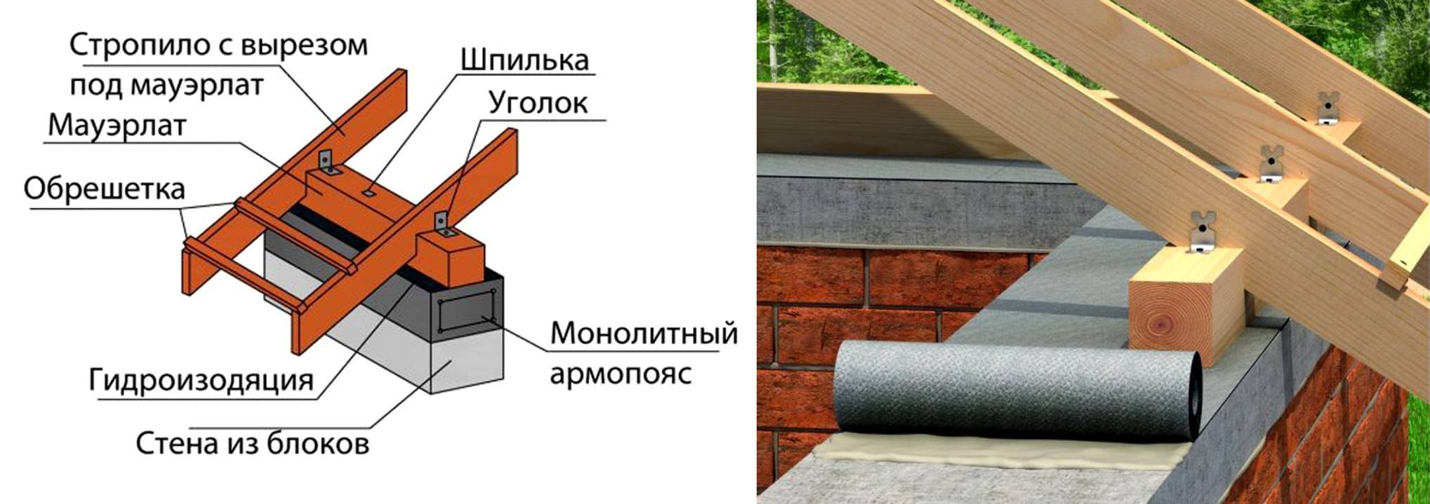 Схема устройство мауэрлата