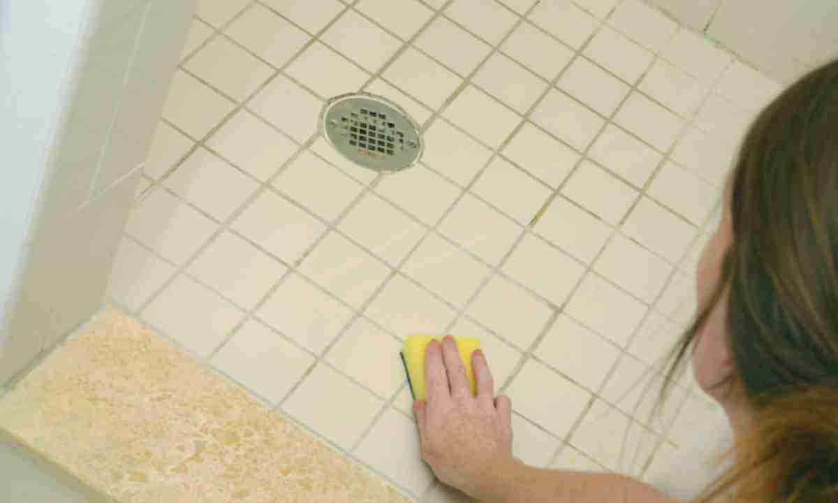Как избавиться от плесени в ванной собственными силами и в короткие сроки