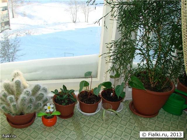 Как утеплить пластиковые окна на зиму