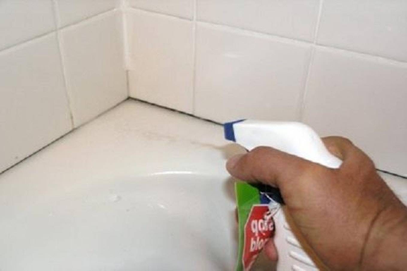 Как избавиться от плесени в ванной комнате: эффективные средства от грибка