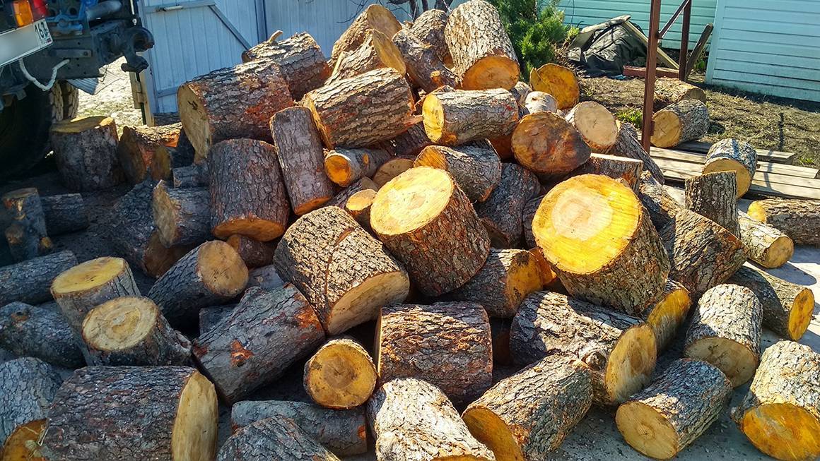 Какие дрова лучше для отопления? | forestbase