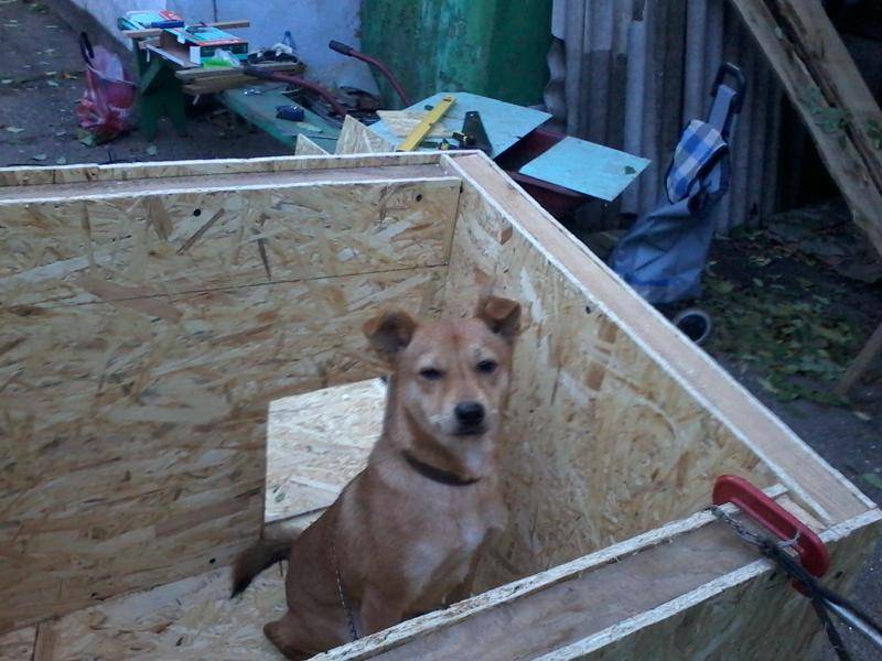 Как сделать утепленную будку для собаки: требования и материалы для обшивки