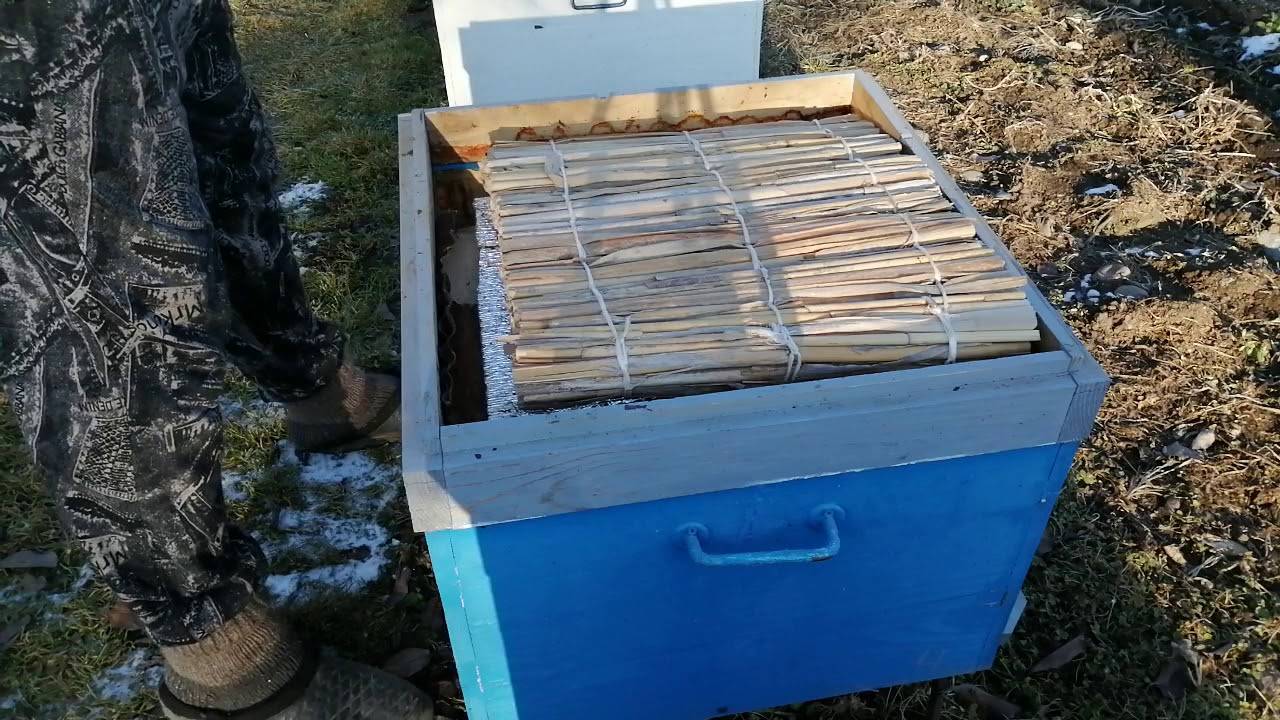 Способы утепления пчелиных ульев.с помощью каких материалов лучше всего производить утепление улья в холодное время года